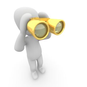 Search Engine Optimization