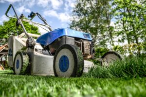 Yard Care and Landscaping Yard Care and Landscaping